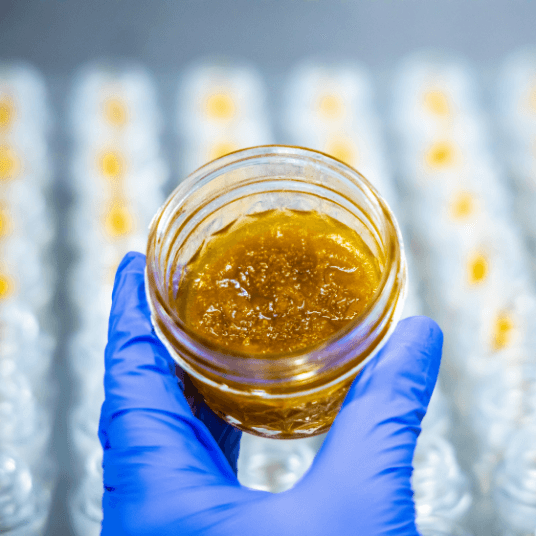 Technician wearing gloves holding a jar of cannabis extract in New Jersey