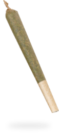 Pre-rolled cannabis joint for smoking